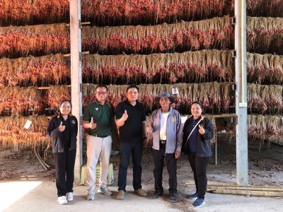 “หอมแดง”ของดีศรีสะเกษการันตีด้วยสินค้าจีไอ(GI) พารามิเตอร์รูปภาพ 1