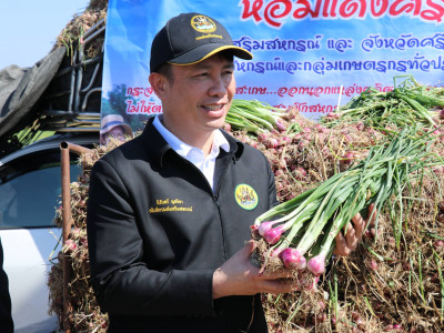 “หอมแดง”ของดีศรีสะเกษการันตีด้วยสินค้าจีไอ(GI) พารามิเตอร์รูปภาพ 5