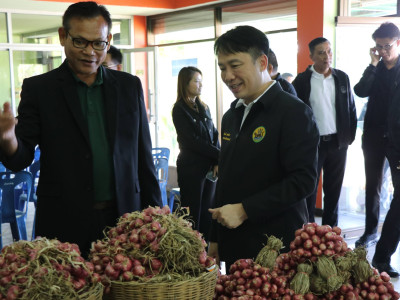 “หอมแดง”ของดีศรีสะเกษการันตีด้วยสินค้าจีไอ(GI) พารามิเตอร์รูปภาพ 8