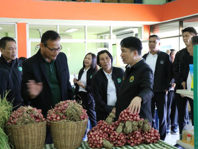 “หอมแดง”ของดีศรีสะเกษการันตีด้วยสินค้าจีไอ(GI) พารามิเตอร์รูปภาพ 9