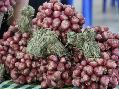 “หอมแดง”ของดีศรีสะเกษการันตีด้วยสินค้าจีไอ(GI) พารามิเตอร์รูปภาพ 10