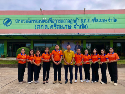 “หอมแดง”ของดีศรีสะเกษการันตีด้วยสินค้าจีไอ(GI) พารามิเตอร์รูปภาพ 16