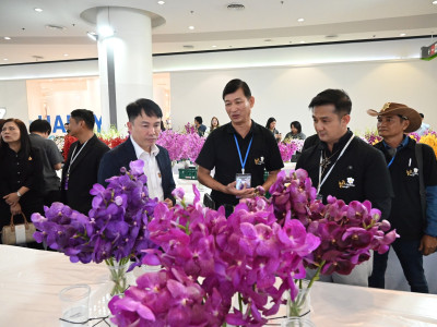 อธิบดีกรมส่งเสริมสหกรณ์ ... พารามิเตอร์รูปภาพ 10