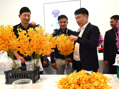 อธิบดีกรมส่งเสริมสหกรณ์ ... พารามิเตอร์รูปภาพ 11