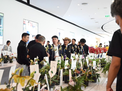 อธิบดีกรมส่งเสริมสหกรณ์ ... พารามิเตอร์รูปภาพ 14