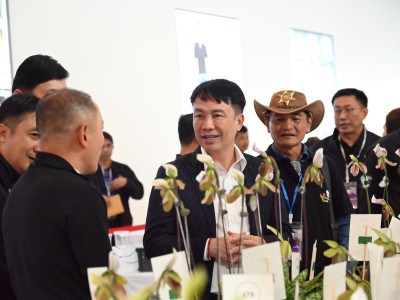 อธิบดีกรมส่งเสริมสหกรณ์ ... พารามิเตอร์รูปภาพ 15