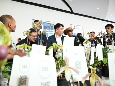 อธิบดีกรมส่งเสริมสหกรณ์ ... พารามิเตอร์รูปภาพ 17