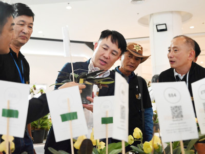 อธิบดีกรมส่งเสริมสหกรณ์ ... พารามิเตอร์รูปภาพ 19