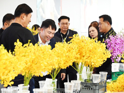 อธิบดีกรมส่งเสริมสหกรณ์ ... พารามิเตอร์รูปภาพ 2