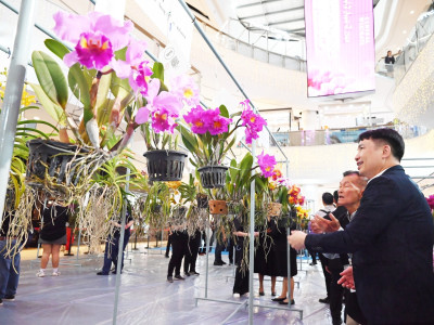 อธิบดีกรมส่งเสริมสหกรณ์ ... พารามิเตอร์รูปภาพ 25