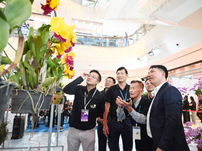 อธิบดีกรมส่งเสริมสหกรณ์ ... พารามิเตอร์รูปภาพ 26