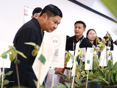 รองอธิบดีกรมส่งเสริมสหกรณ์ ... พารามิเตอร์รูปภาพ 10