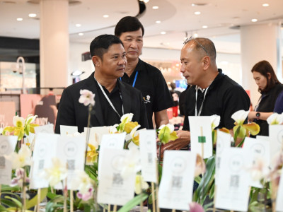 รองอธิบดีกรมส่งเสริมสหกรณ์ ... พารามิเตอร์รูปภาพ 16