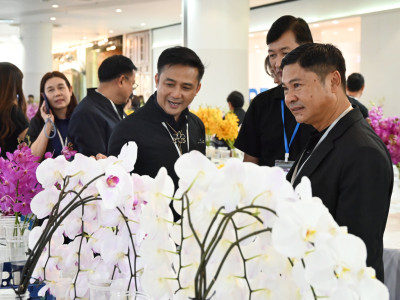 รองอธิบดีกรมส่งเสริมสหกรณ์ ... พารามิเตอร์รูปภาพ 20