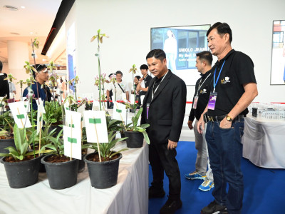 รองอธิบดีกรมส่งเสริมสหกรณ์ ... พารามิเตอร์รูปภาพ 21