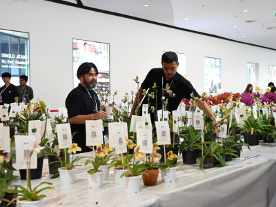 รองอธิบดีกรมส่งเสริมสหกรณ์ ... พารามิเตอร์รูปภาพ 22