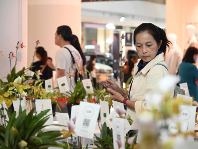 รองอธิบดีกรมส่งเสริมสหกรณ์ ... พารามิเตอร์รูปภาพ 23