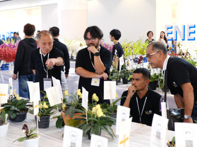 รองอธิบดีกรมส่งเสริมสหกรณ์ ... พารามิเตอร์รูปภาพ 24