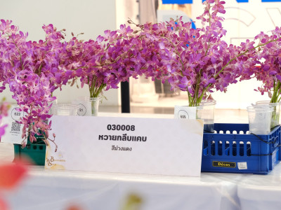 รองอธิบดีกรมส่งเสริมสหกรณ์ ... พารามิเตอร์รูปภาพ 26