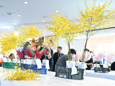 รองอธิบดีกรมส่งเสริมสหกรณ์ ... พารามิเตอร์รูปภาพ 27