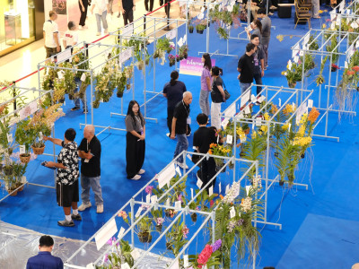 รองอธิบดีกรมส่งเสริมสหกรณ์ ... พารามิเตอร์รูปภาพ 30