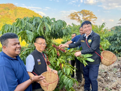 อธิบดีกรมส่งเสริมสหกรณ์ ... พารามิเตอร์รูปภาพ 21