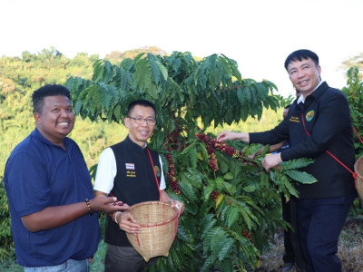 อธิบดีกรมส่งเสริมสหกรณ์ ... พารามิเตอร์รูปภาพ 23