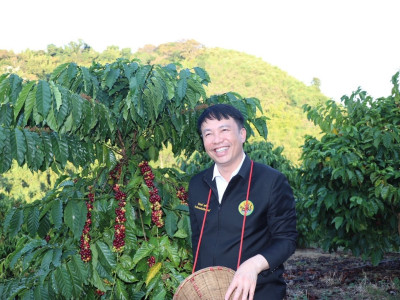 อธิบดีกรมส่งเสริมสหกรณ์ ... พารามิเตอร์รูปภาพ 24