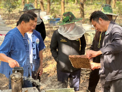 อธิบดีกรมส่งเสริมสหกรณ์ ... พารามิเตอร์รูปภาพ 21