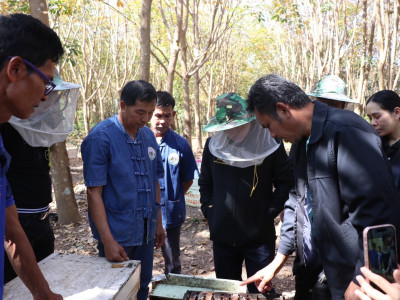 อธิบดีกรมส่งเสริมสหกรณ์ ... พารามิเตอร์รูปภาพ 22