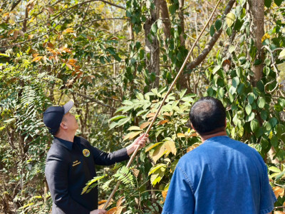 อธิบดีกรมส่งเสริมสหกรณ์ ... พารามิเตอร์รูปภาพ 23