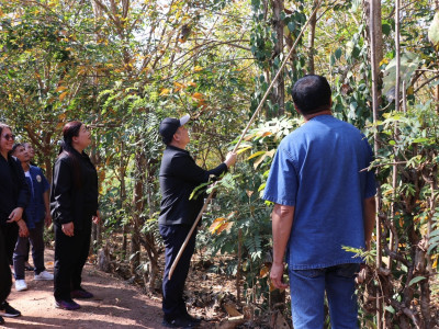 อธิบดีกรมส่งเสริมสหกรณ์ ... พารามิเตอร์รูปภาพ 24