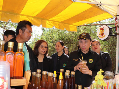 อธิบดีกรมส่งเสริมสหกรณ์ ... พารามิเตอร์รูปภาพ 29