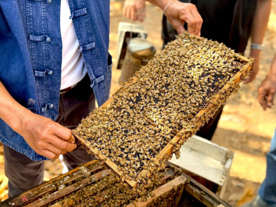 อธิบดีกรมส่งเสริมสหกรณ์ ... พารามิเตอร์รูปภาพ 37