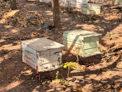 อธิบดีกรมส่งเสริมสหกรณ์ ... พารามิเตอร์รูปภาพ 38