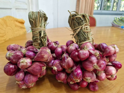 สหกรณ์ศรีสะเกษเร่งกระจายหอมแดงออกสู่ตลาดตั้งเป้ารอบแรก 40 ... พารามิเตอร์รูปภาพ 5