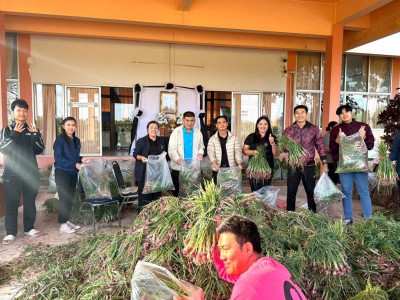 สหกรณ์ศรีสะเกษเร่งกระจายหอมแดงออกสู่ตลาดตั้งเป้ารอบแรก 40 ... พารามิเตอร์รูปภาพ 6