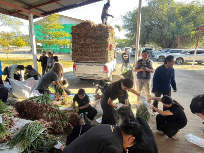 สหกรณ์ศรีสะเกษเร่งกระจายหอมแดงออกสู่ตลาดตั้งเป้ารอบแรก 40 ... พารามิเตอร์รูปภาพ 8
