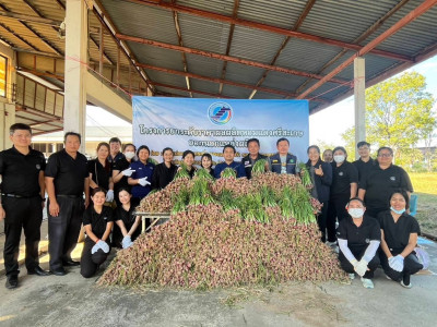 สหกรณ์ศรีสะเกษเร่งกระจายหอมแดงออกสู่ตลาดตั้งเป้ารอบแรก 40 ... พารามิเตอร์รูปภาพ 10