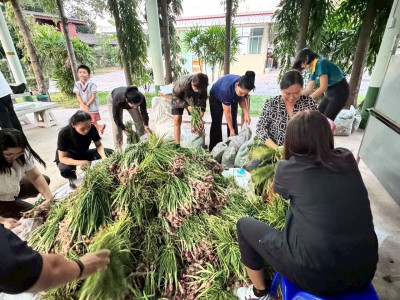 สหกรณ์ศรีสะเกษเร่งกระจายหอมแดงออกสู่ตลาดตั้งเป้ารอบแรก 40 ... พารามิเตอร์รูปภาพ 13