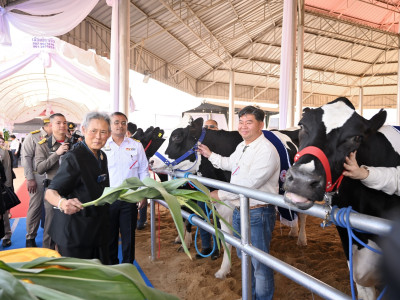 สมเด็จพระกนิษฐาธิราชเจ้า กรมสมเด็จพระเทพรัตนราชสุดาฯ ... พารามิเตอร์รูปภาพ 10