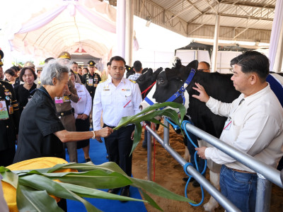 สมเด็จพระกนิษฐาธิราชเจ้า กรมสมเด็จพระเทพรัตนราชสุดาฯ ... พารามิเตอร์รูปภาพ 11