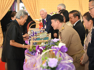 สมเด็จพระกนิษฐาธิราชเจ้า กรมสมเด็จพระเทพรัตนราชสุดาฯ ... พารามิเตอร์รูปภาพ 8