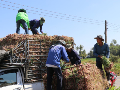 อธิบดีนิรันดร์สั่งการสหกรณ์จังหวัดทั่วประเทศ ... พารามิเตอร์รูปภาพ 2