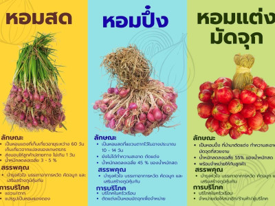 อธิบดีนิรันดร์สั่งการสหกรณ์จังหวัดทั่วประเทศ ... พารามิเตอร์รูปภาพ 12