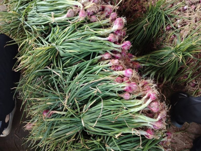 อธิบดีนิรันดร์สั่งการสหกรณ์จังหวัดทั่วประเทศ ... พารามิเตอร์รูปภาพ 15