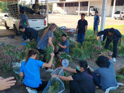 อธิบดีนิรันดร์สั่งการสหกรณ์จังหวัดทั่วประเทศ ... พารามิเตอร์รูปภาพ 16