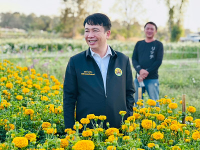 อธิบดีกรมส่งเสริมสหกรณ์ ... พารามิเตอร์รูปภาพ 1