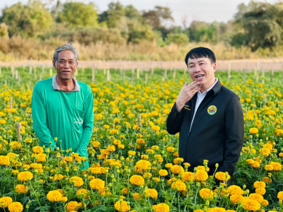 อธิบดีกรมส่งเสริมสหกรณ์ ... พารามิเตอร์รูปภาพ 2