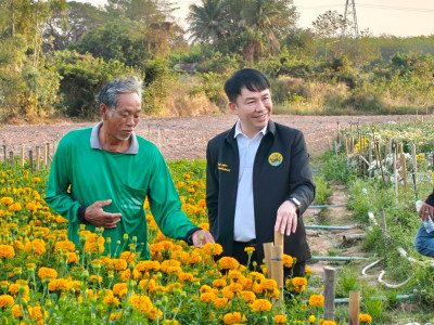 อธิบดีกรมส่งเสริมสหกรณ์ ... พารามิเตอร์รูปภาพ 3